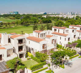 jaypee-bougainvilleas
