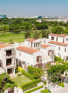 jaypee-bougainvilleas