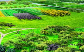 Jaypee Krowns Sector 25