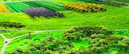 Jaypee Krowns Sector 25