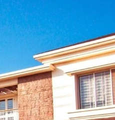 paranjape-schemes meadows