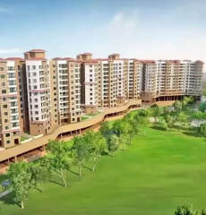 paranjape-schemes meadows