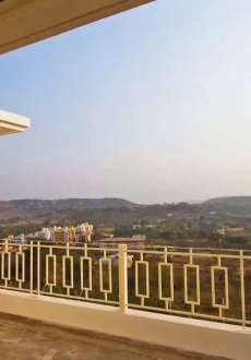 paranjape-schemes meadows