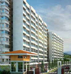 paranjape-schemes pebbles