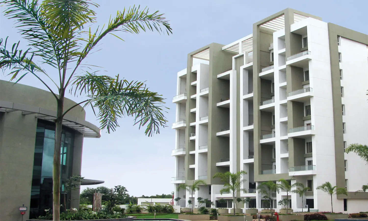 Elevation Image