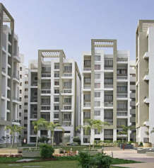 rohan-tarang