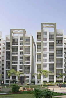Rohan Tarang