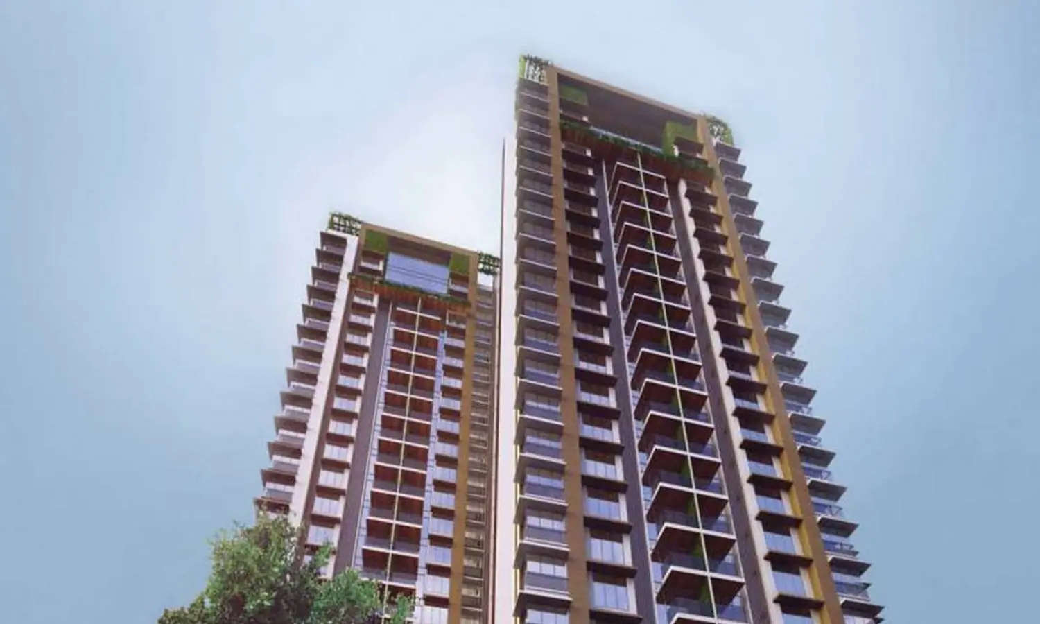Elevation Image