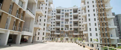 Marvel Enigma Kharadi