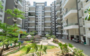 Marvel Zephyr Kharadi