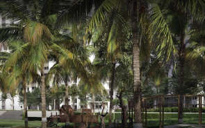 Rohan Upavan Kyalasanahalli