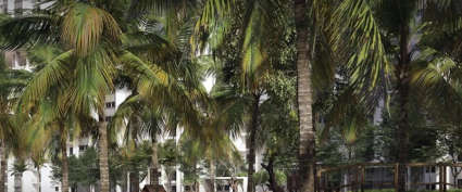 Rohan Upavan Kyalasanahalli