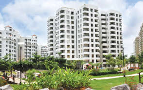 Rohan Vasantha Marathahalli