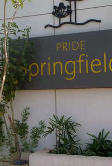 Pride Springfields