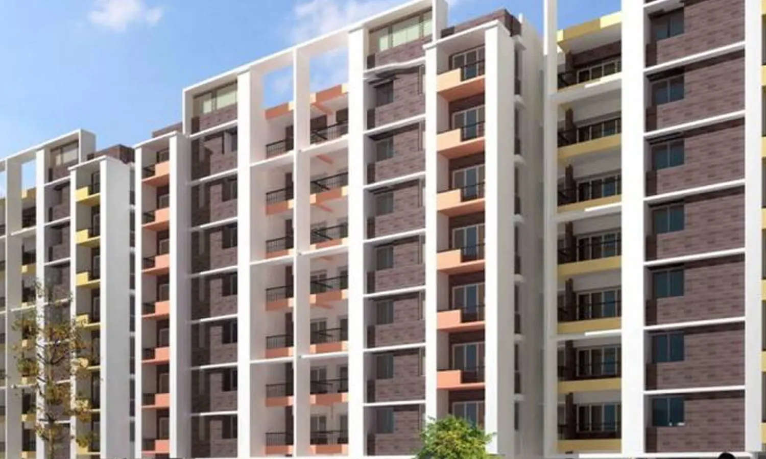 Elevation Image