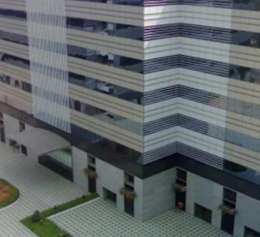 appaswamy-the futura