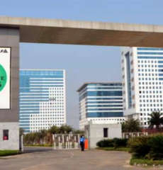 dlf-corporate greens