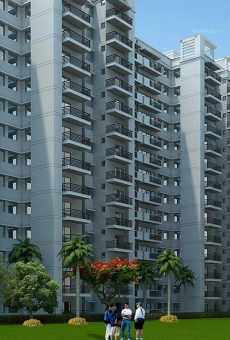 Signature Global Signum 71