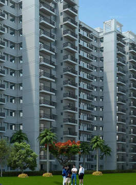 signature-global signum 71