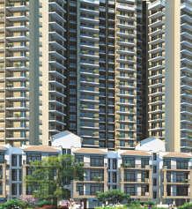 signature-global signum 71