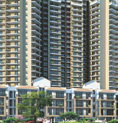 signature-global signum 71