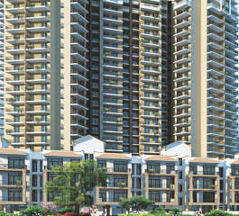 signature-global signum 71