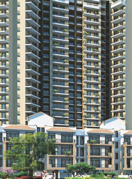 signature-global signum 71