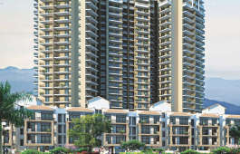 signature-global signum 71