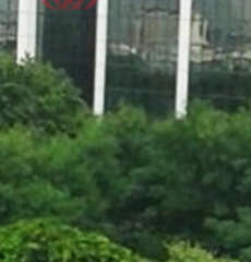 dlf-corporate park 4b