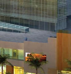 emaar-the palm square