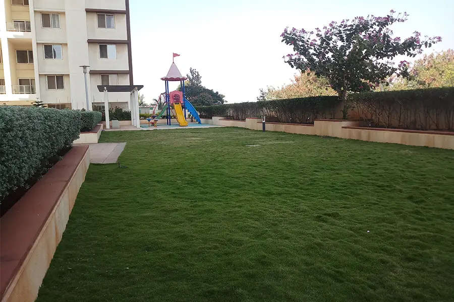 Play Area