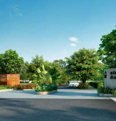 assetz-atmos and aura