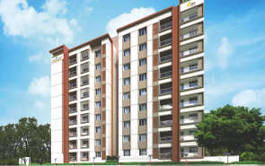 DRA Tuxedo Elite Velachery