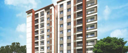 DRA Tuxedo Elite Velachery