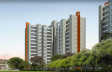 Skyi Star Town