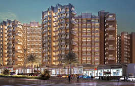 lakhani-orchid woods