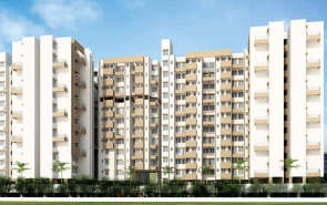 Jhamtani Ace Aastha Charholi