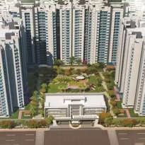 sikka-kaamya greens