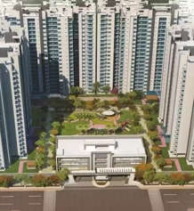 sikka-kaamya greens