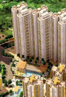 Platinum Towers