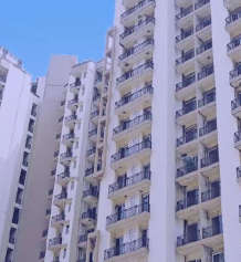 sikka-karnam greens