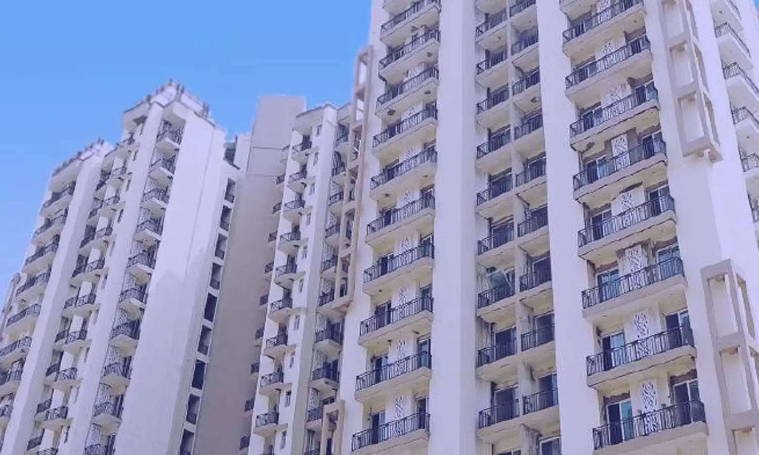 Sikka Karnam Greens