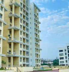 kolte-patil green olive