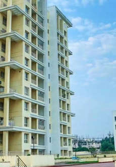 kolte-patil green olive