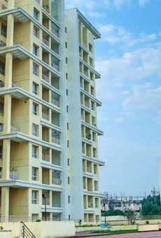 Kolte Patil Green Olive