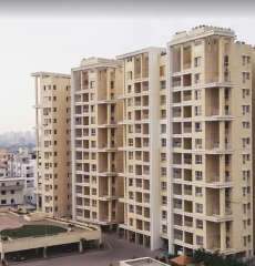 kolte-patil green olive