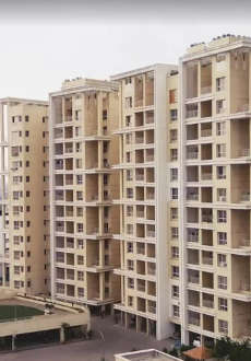 kolte-patil green olive