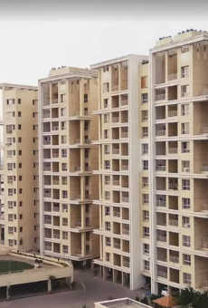 Kolte Patil Green Olive