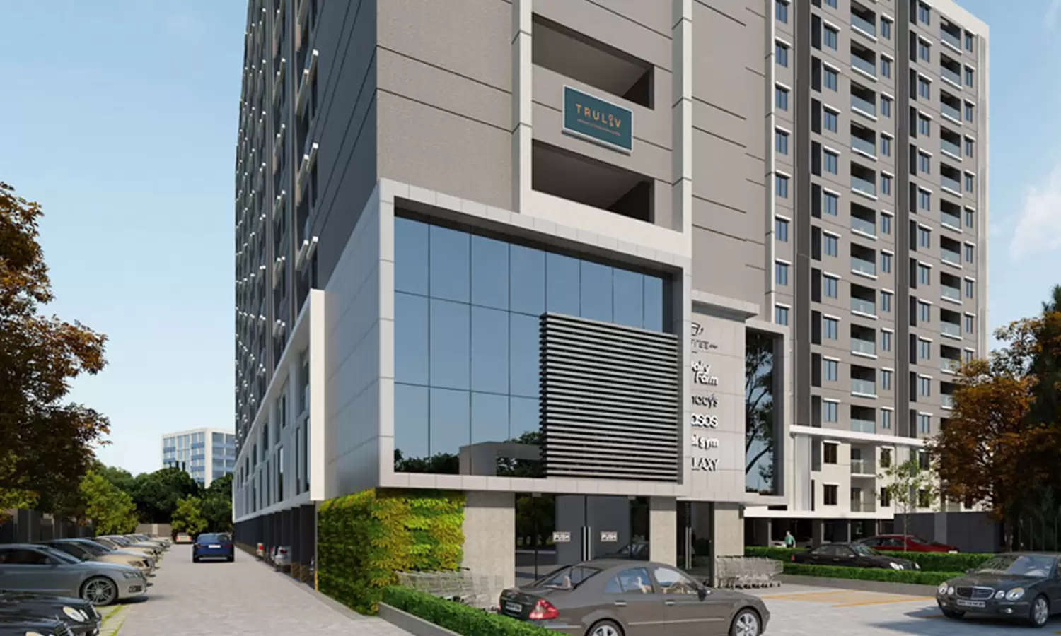 Project Entrance View