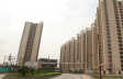 Gaur Sportswood